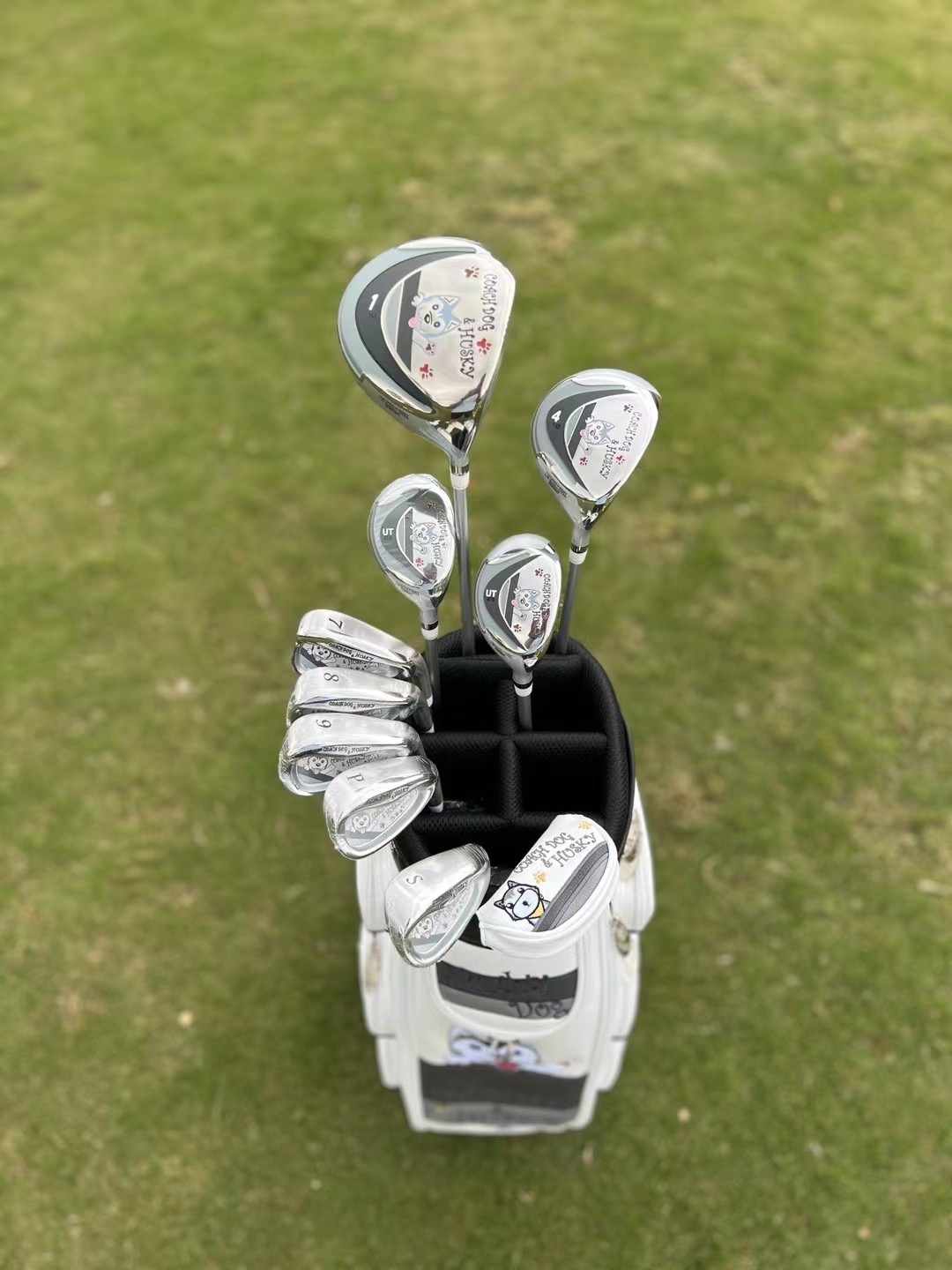 Golf Equipment Junior - Happy dog ​​cartoon image golf club