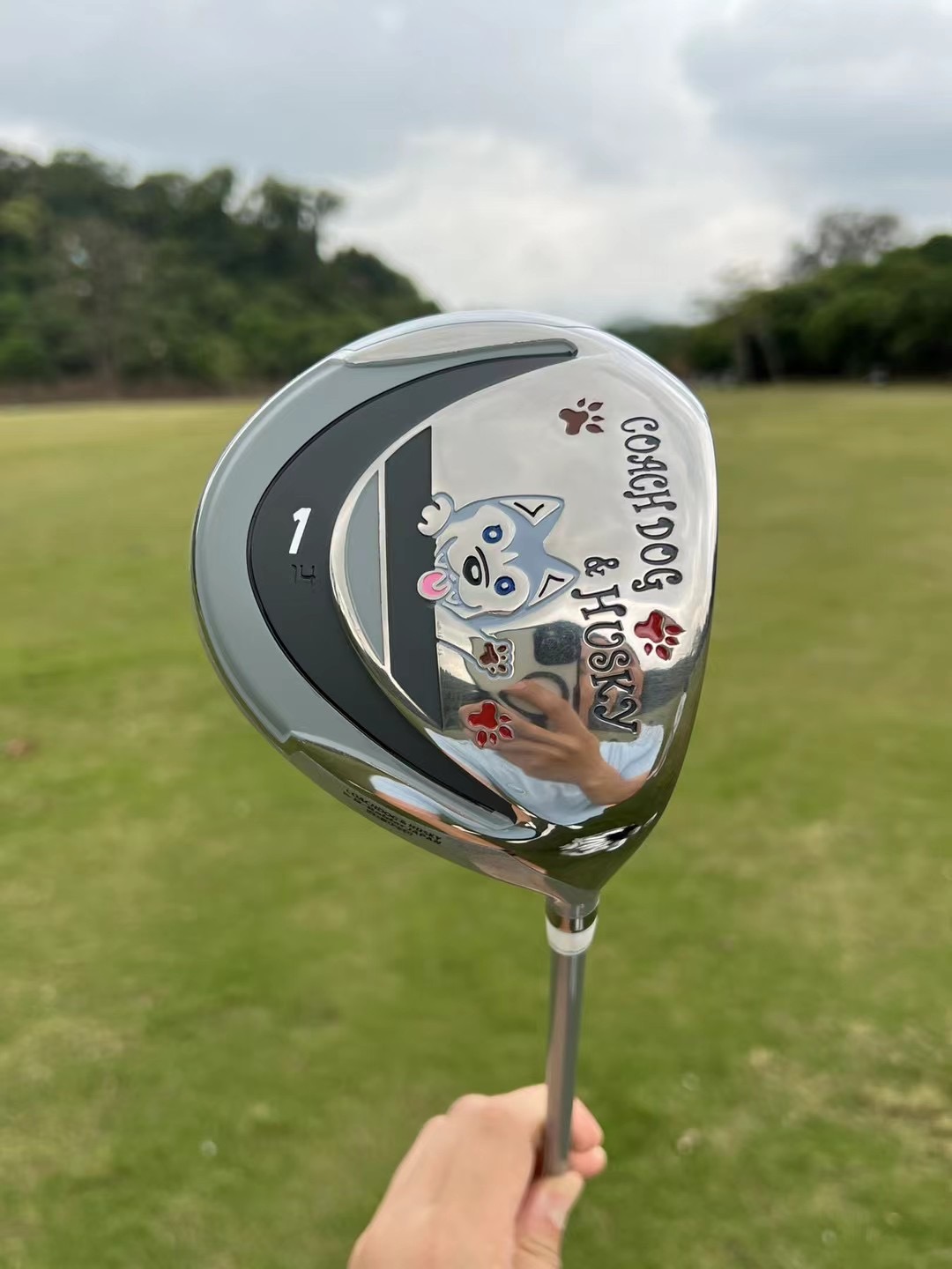 Happy dog ​​cartoon image golf – обзор и цена Golf Equipment Junior